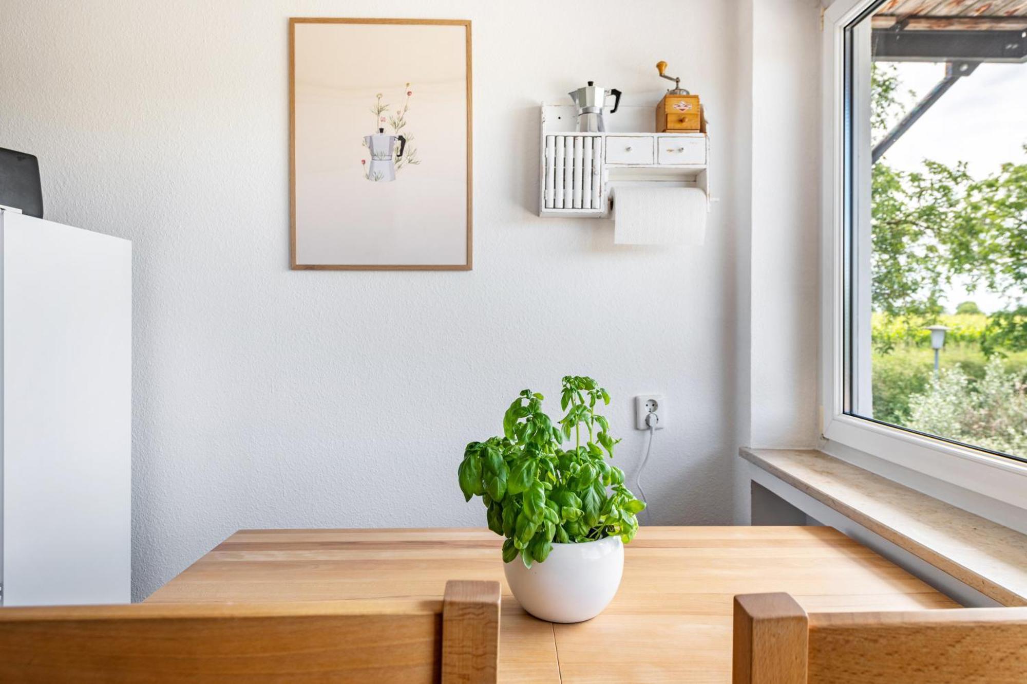 Ferienwohnung In Den Bachteln Sulzburg Dış mekan fotoğraf